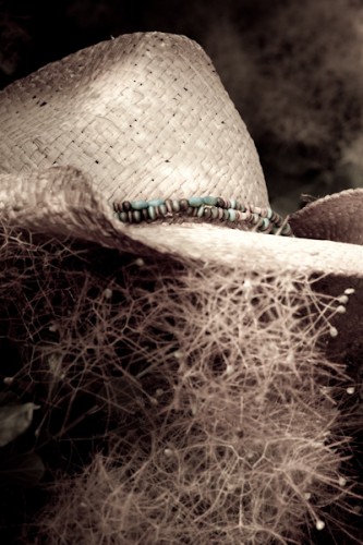 img_2517