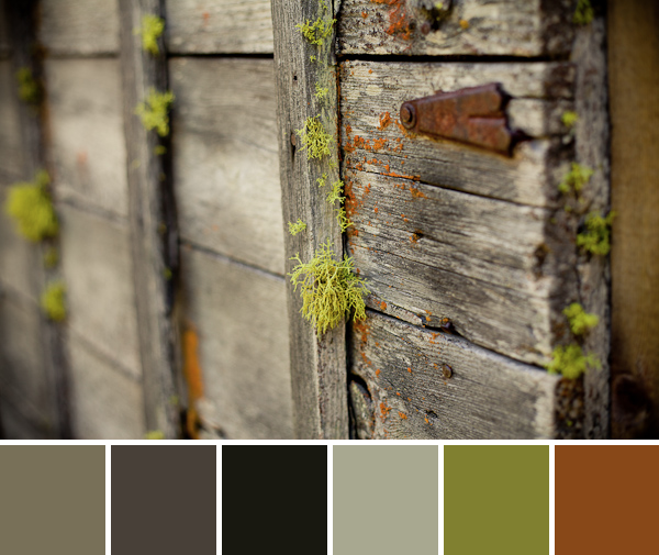 Color Palette Inspiration-palette (1)