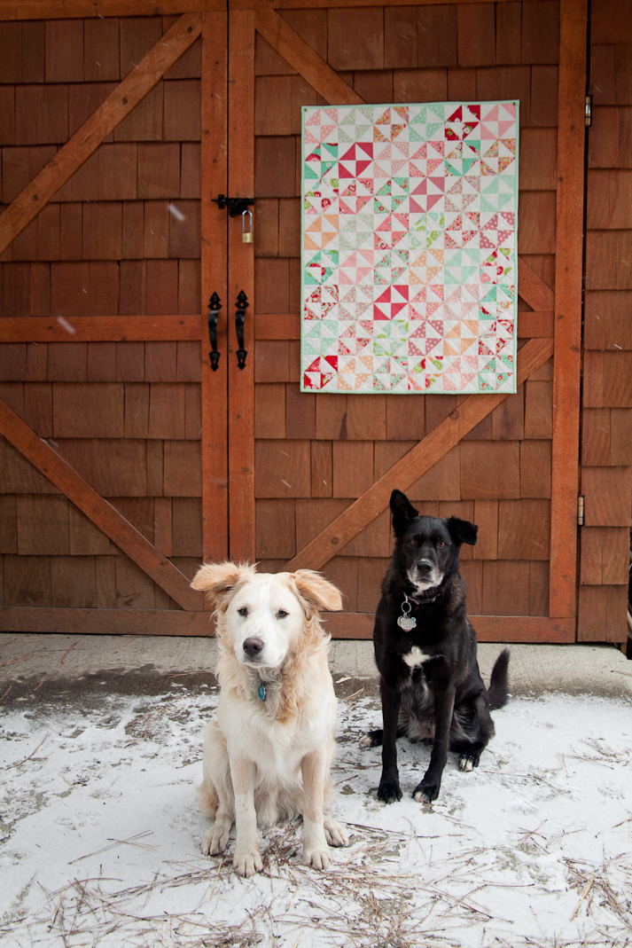 Scrumptious-Baby-Quilt-5