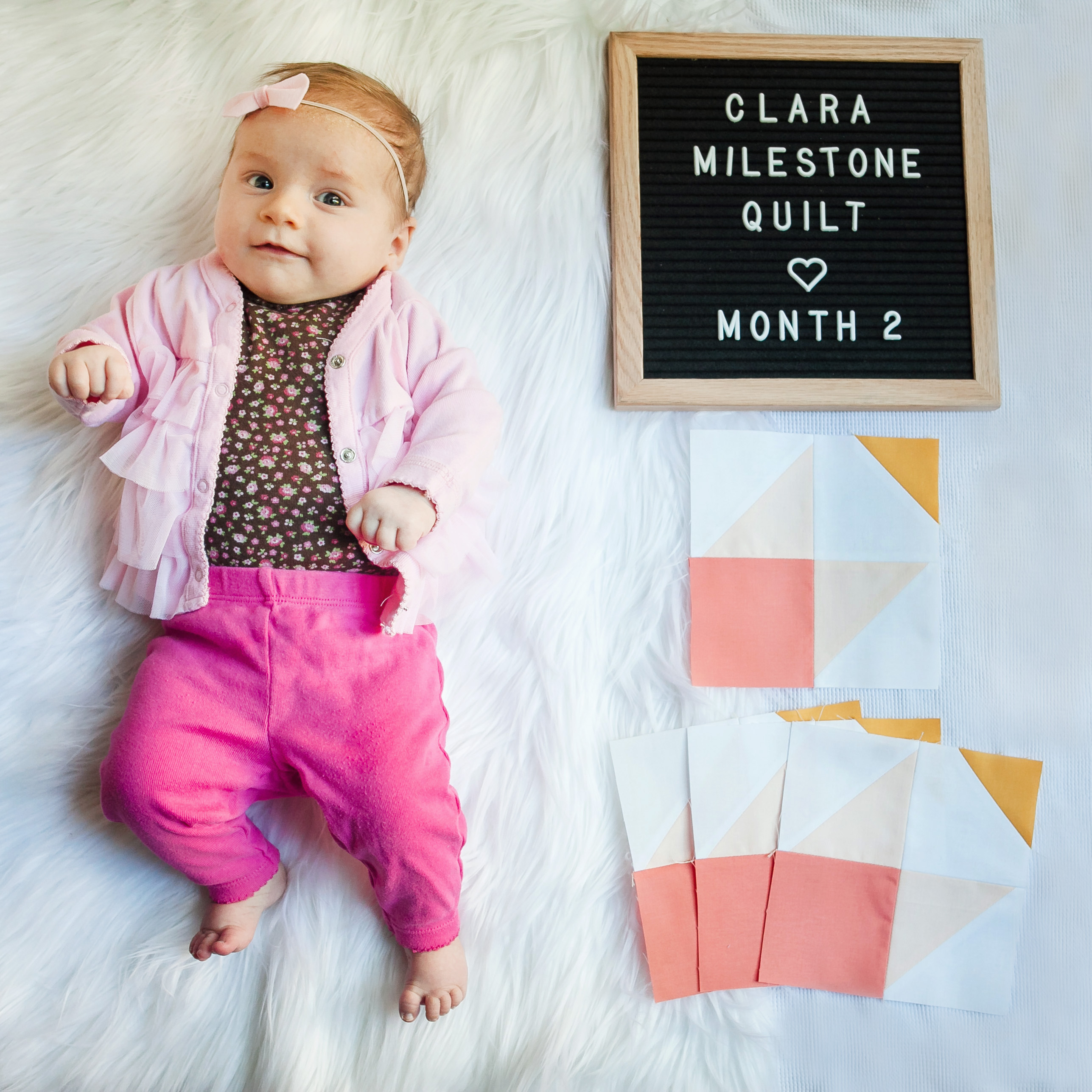 Milestone quilt top
